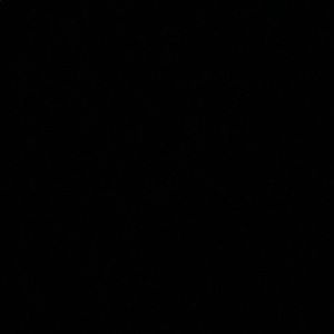 Meet your Posher, Cody